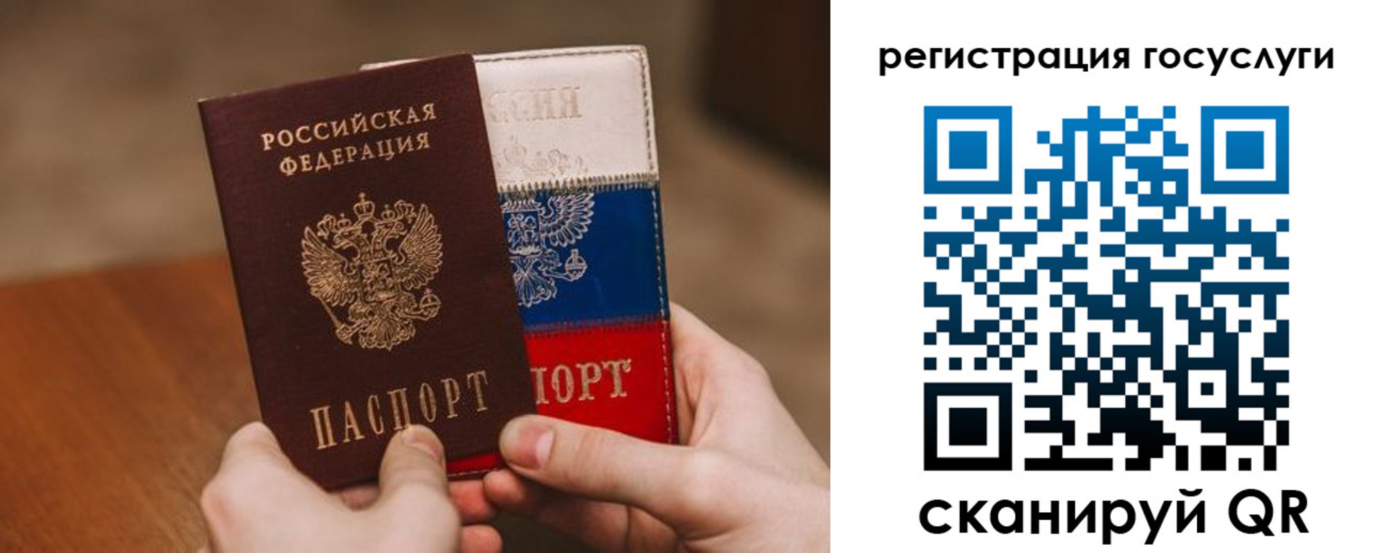 купить прописку в Владимирской области